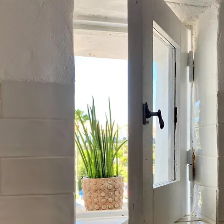 Laranjeira 2 By Almaalgarvia * 圣巴巴拉德尼克斯